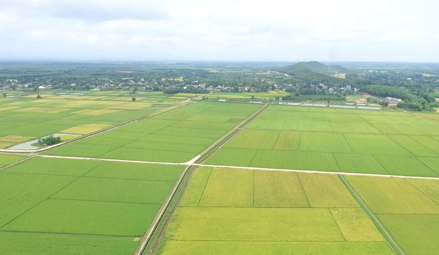 Xã Vĩnh Thủy triển khai Nghị quyết 04-NQ/TU: Đột phá trong tích tụ đất nông nghiệp và phát triển...